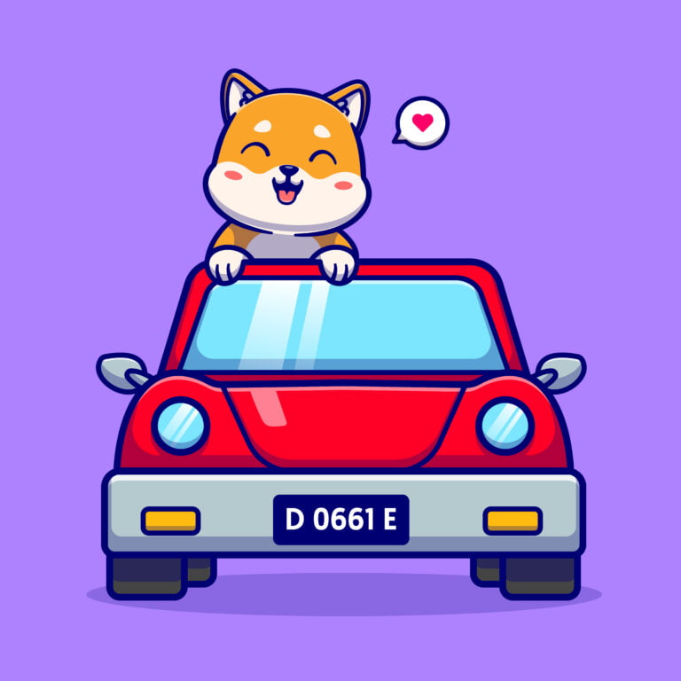 pet-taxi